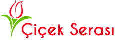Çiçek Serası